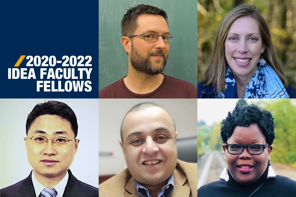IDEA Faculty Fellows 2020