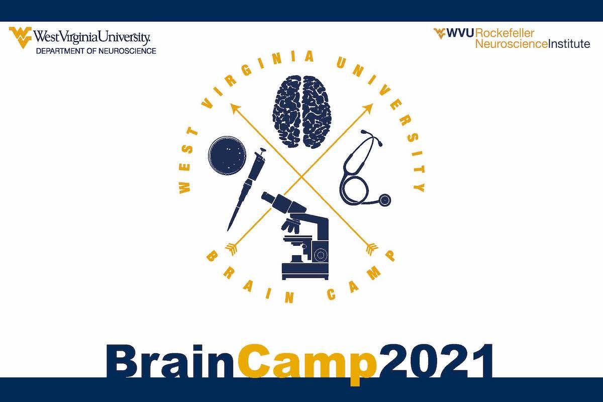 brain camp 2021 graphic
