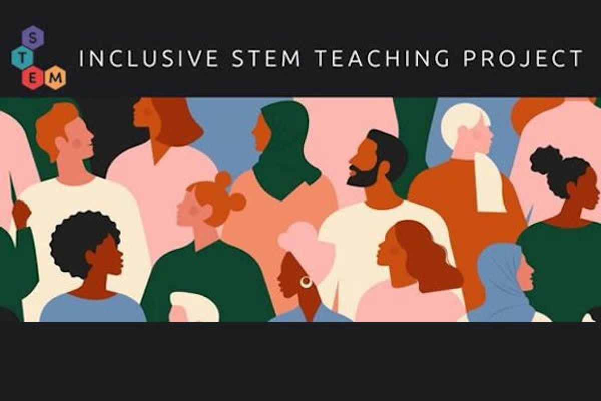 Inclusive STEM Teaching Project
