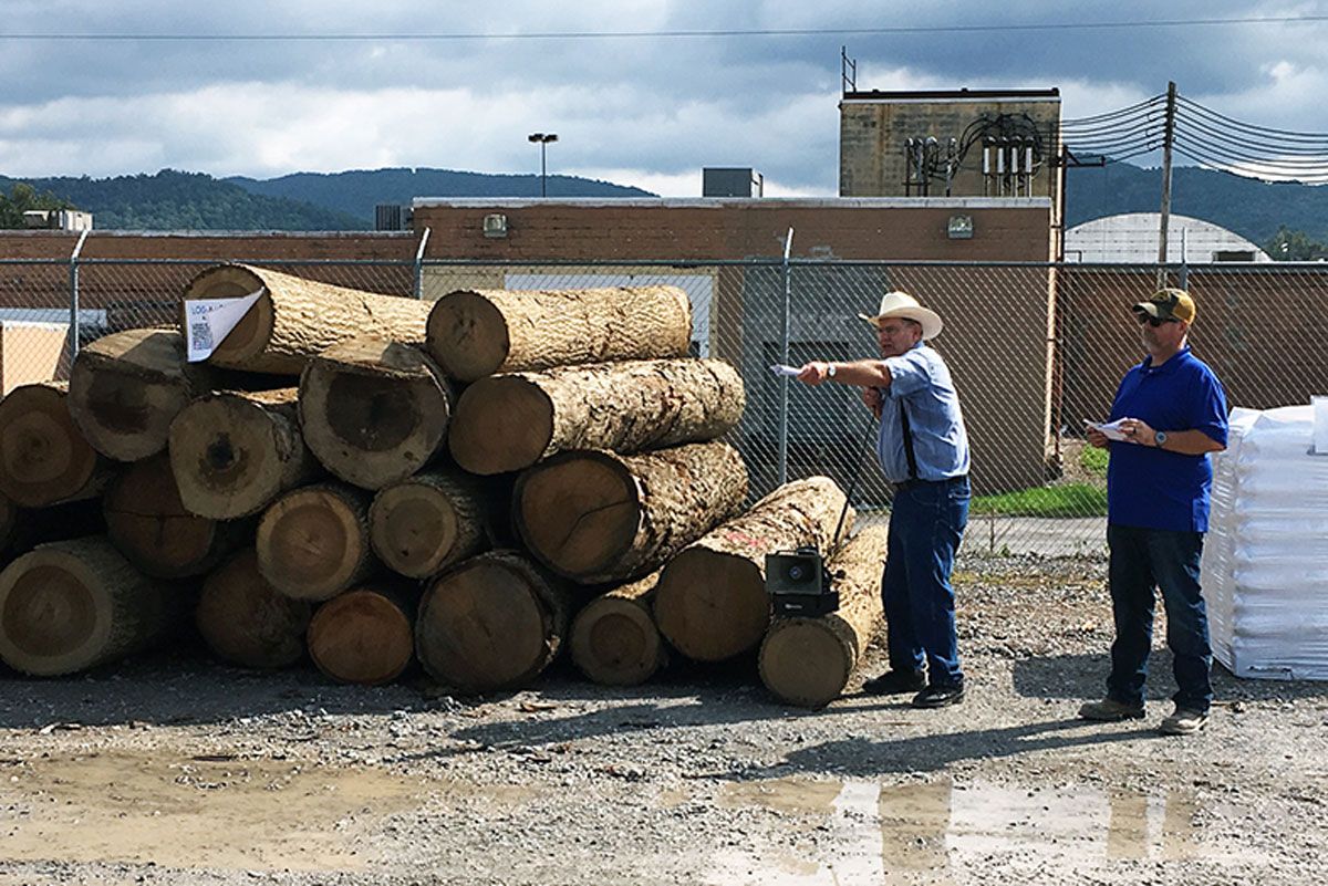 Auctioneer Dallas Heldreth (second from left) and Mountain Loggers Cooperative Association member Mark Shreve auction a load of logs at the Log-a-Load for Kids Log Auction on Oct. 4.