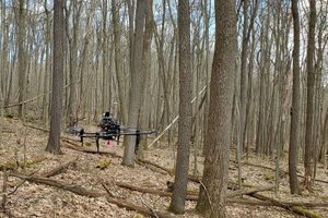 Drone In Forest