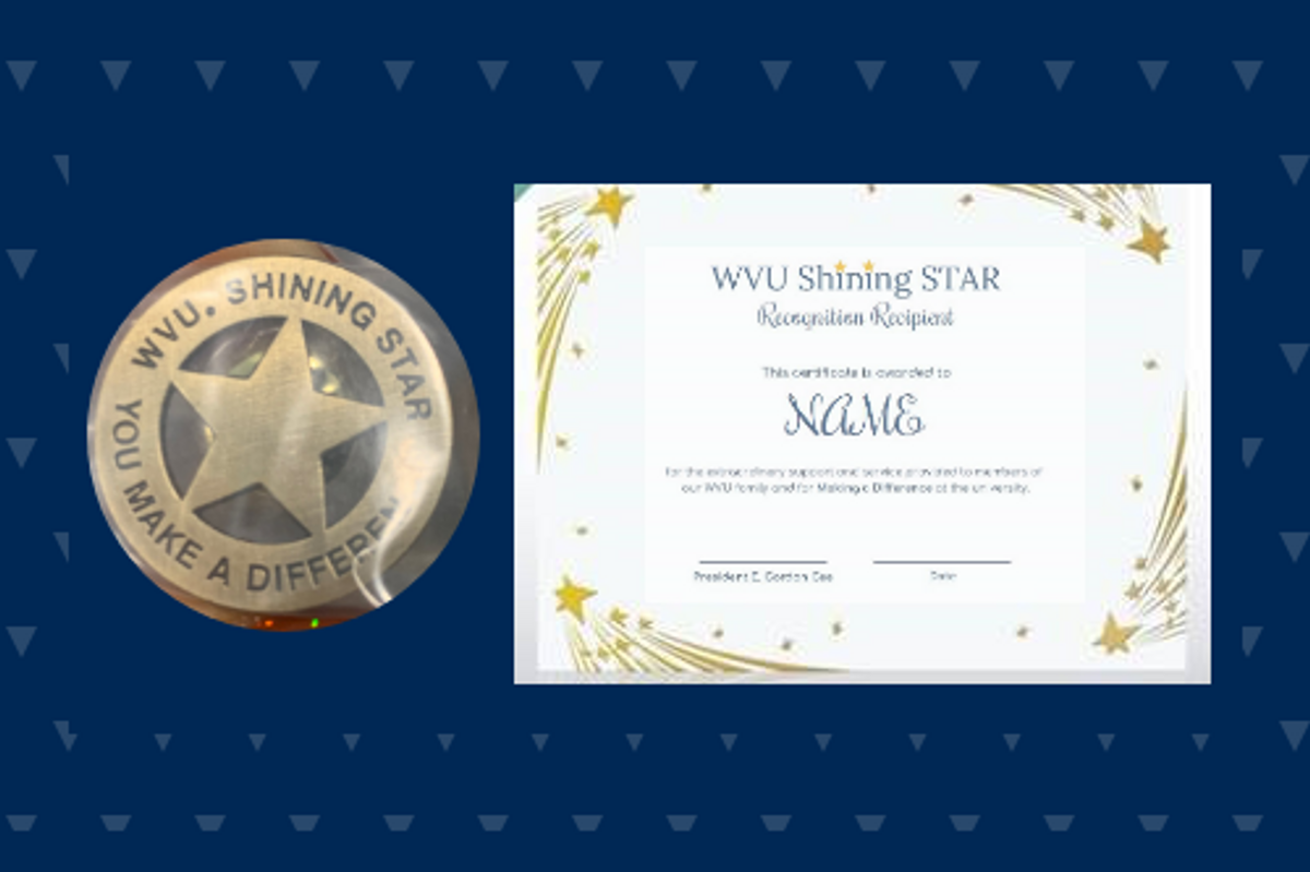 shining star pin and certificate