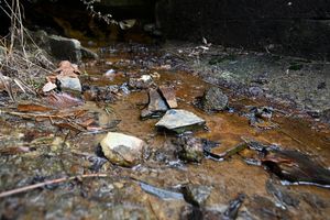 A creek with evidence of acid mine drainage. 