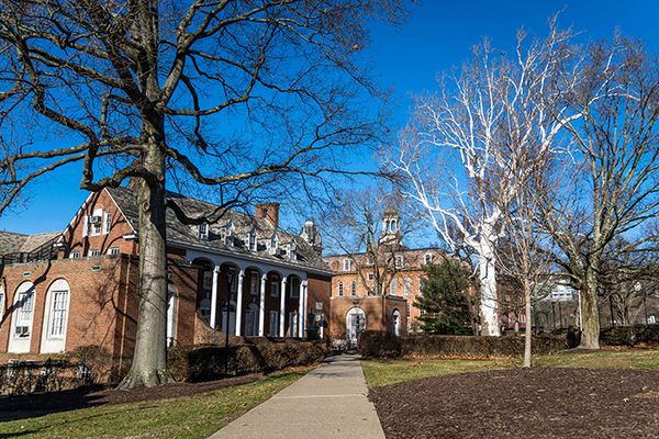Trees to be removed from E Moore Hall