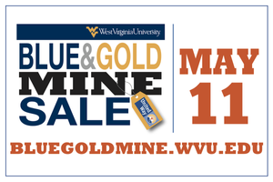 blue gold mine sale