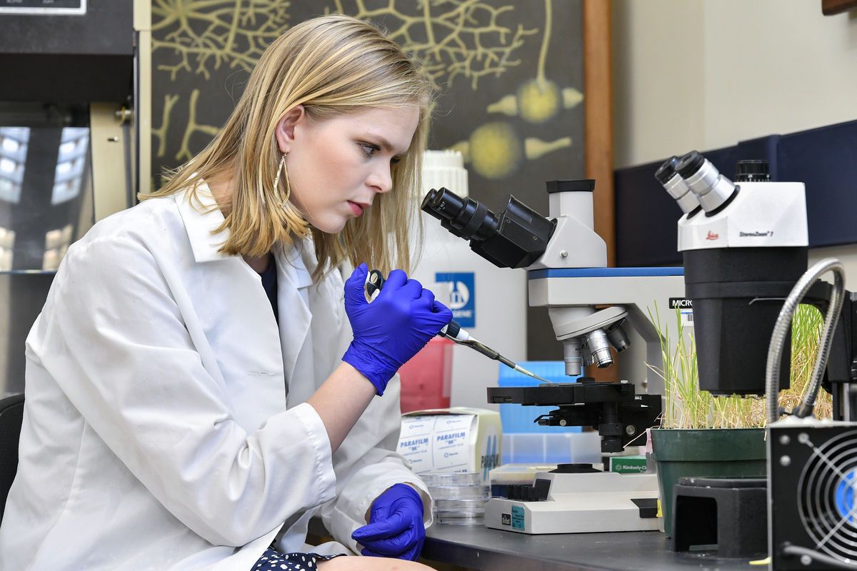 female researcher in lab