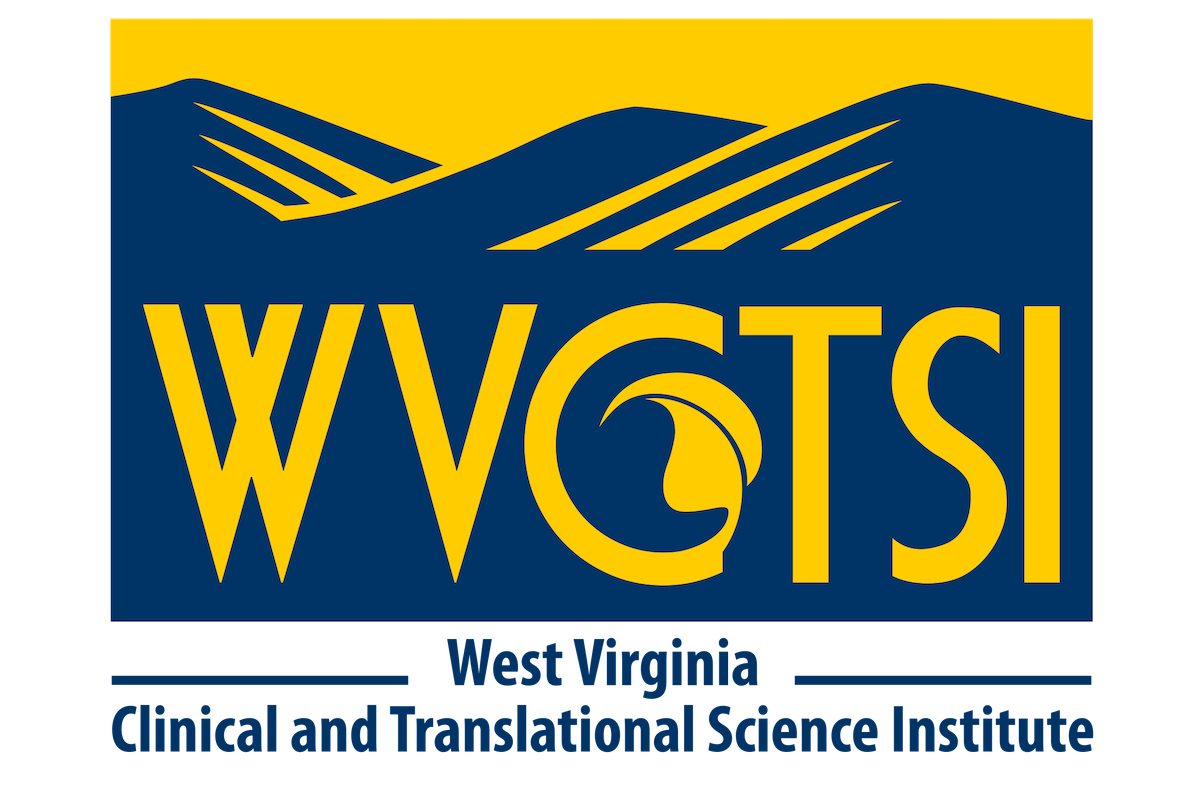 Attend a hybrid workshop on GIS and spatial analysis in health care |  E-News | West Virginia University