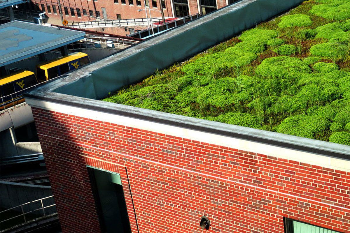 WVU building - green roof