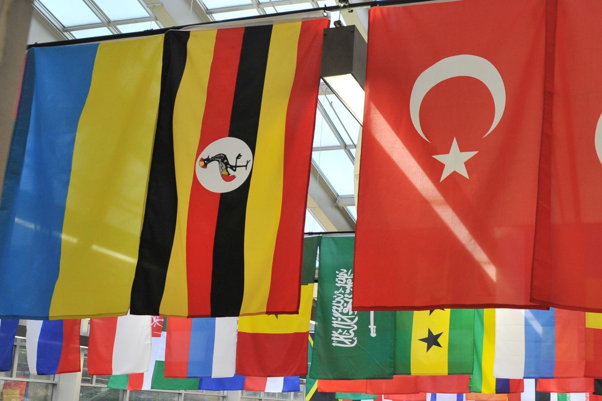 International students flags